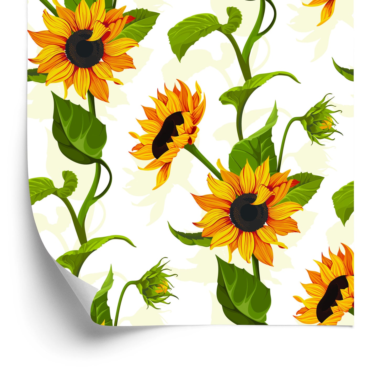 Wallpaper Large Sunflowers With Leaves