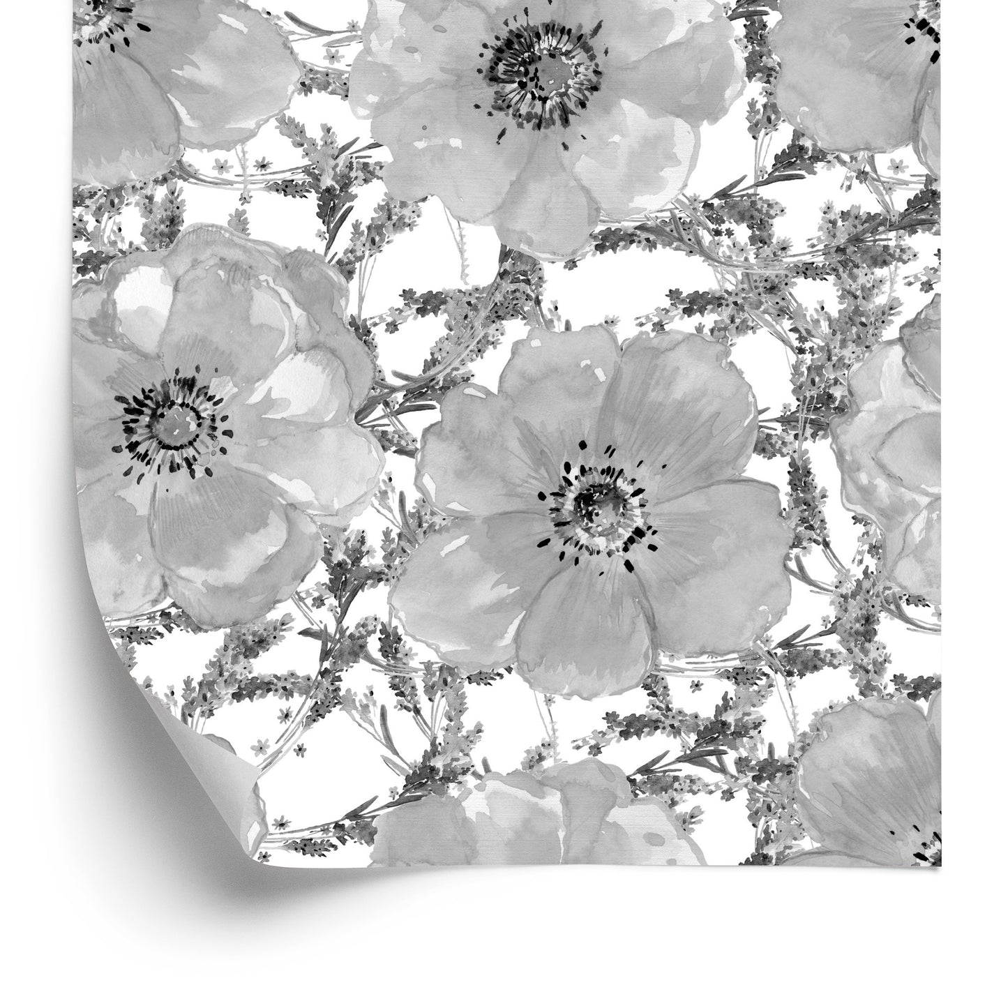 Wallpaper Black And White Poppies