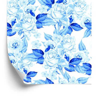 Wallpaper Flowers, Roses, Leaves, Plants, Nature
