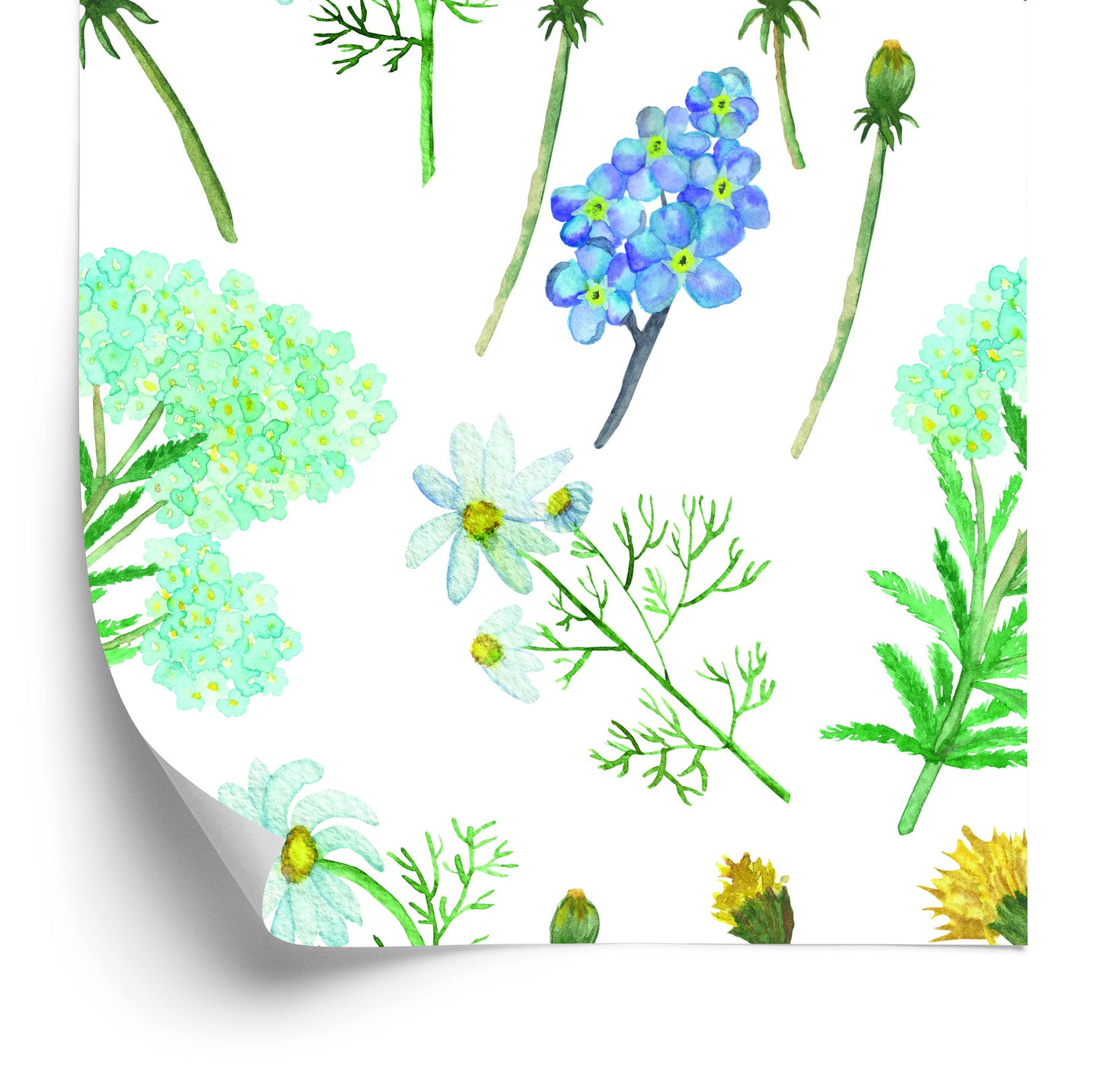 Wallpaper Flowers And Herbs