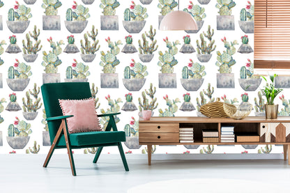 Wallpaper Cactus With Flowers