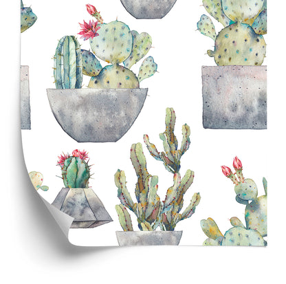 Wallpaper Cactus With Flowers