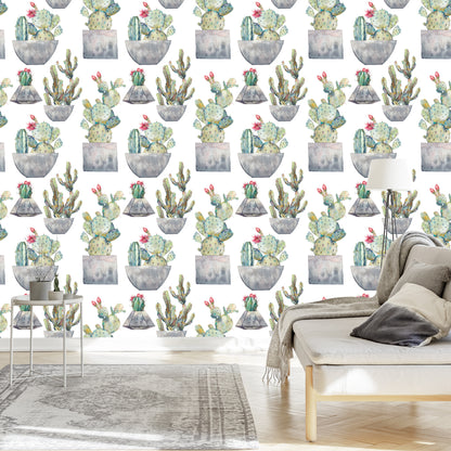 Wallpaper Cactus With Flowers