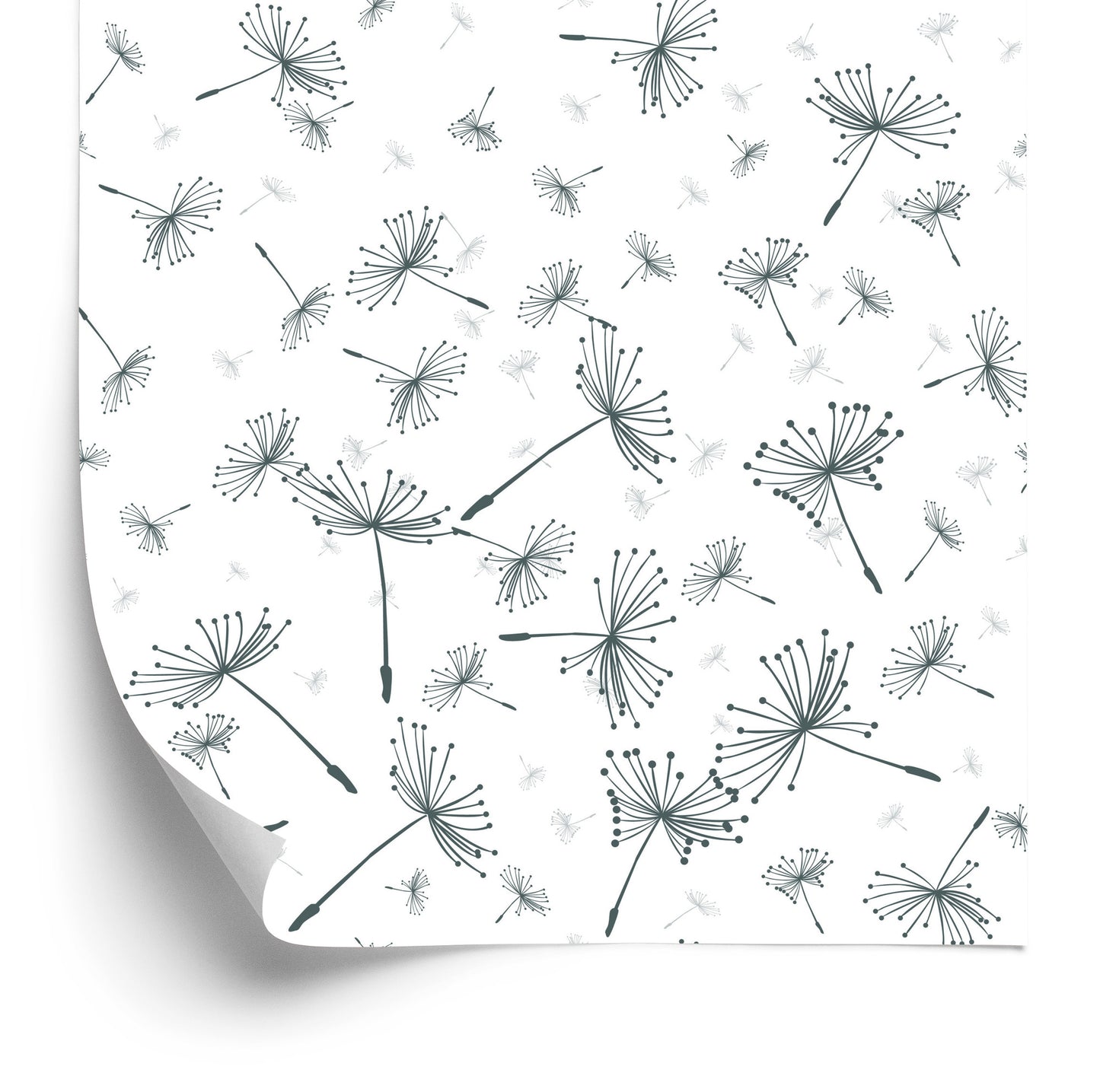 Wallpaper Floating Dandelion Seeds