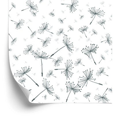 Wallpaper Floating Dandelion Seeds