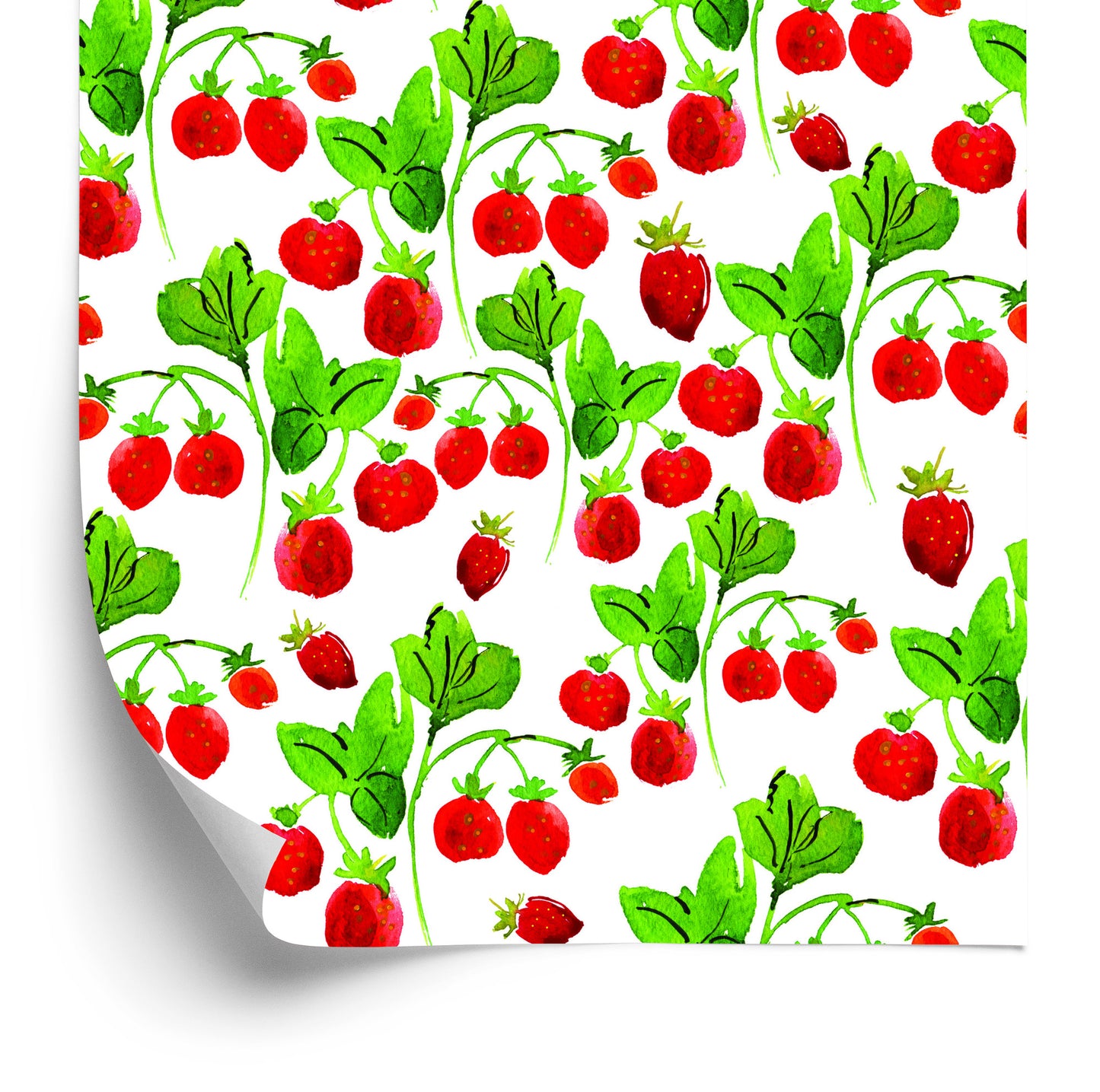 Wallpaper Fruit For Kitchen Dining Room