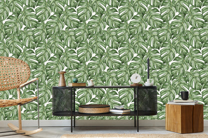 Wallpaper Monstera Leaves