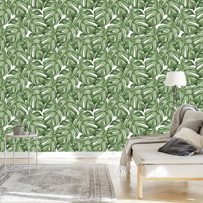 Wallpaper Monstera Leaves