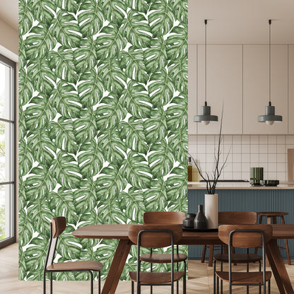 Wallpaper Monstera Leaves
