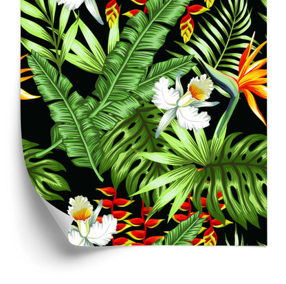 Wallpaper Tropical Leaves