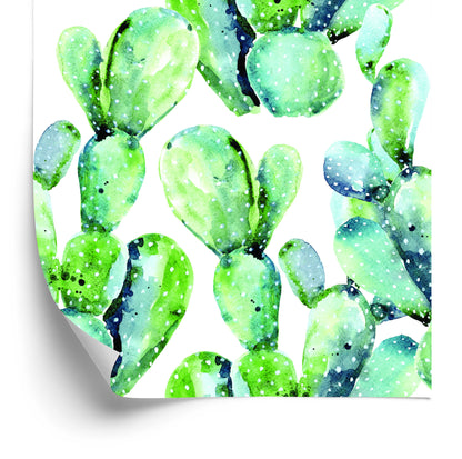 Wallpaper Flowers. Plants. Cacti