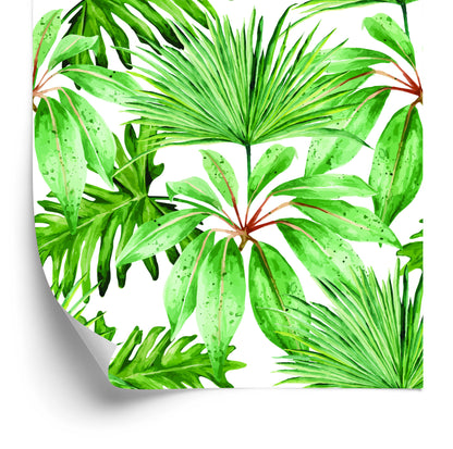 Wallpaper Tropical Leaves
