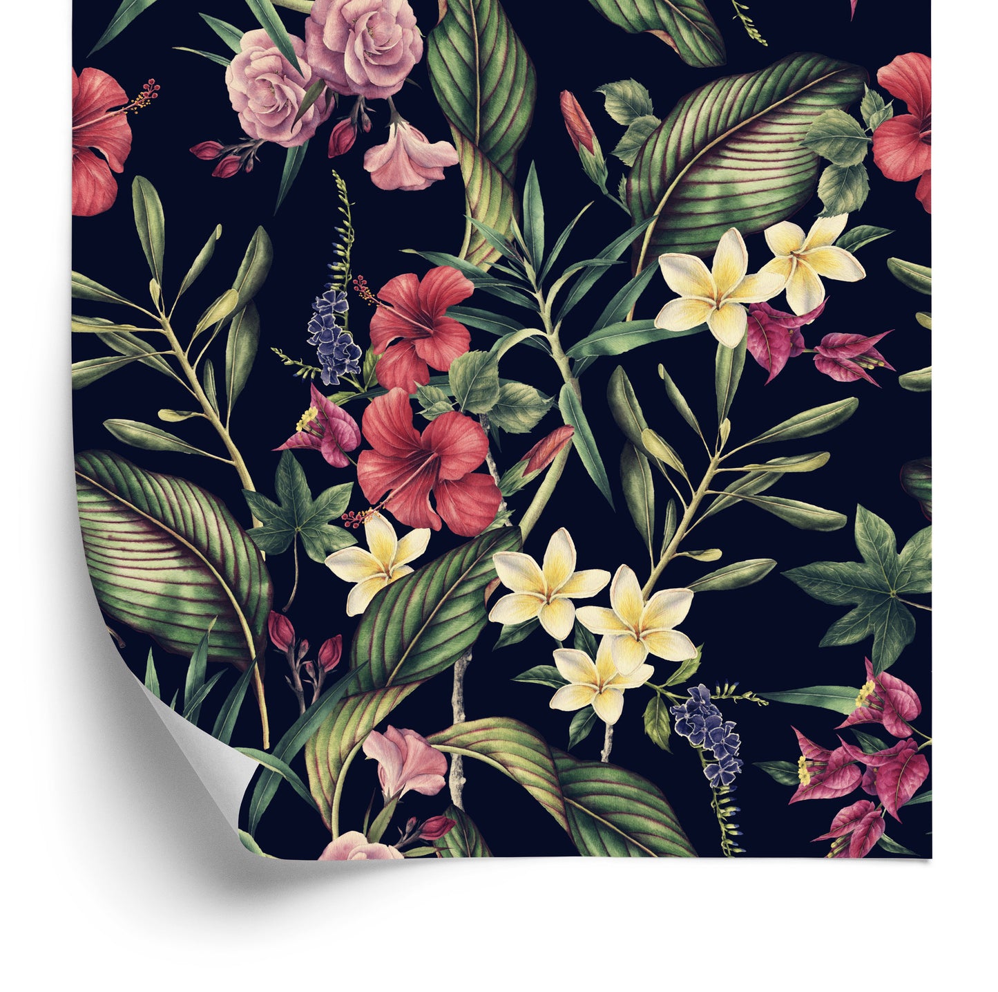 Wallpaper Colors