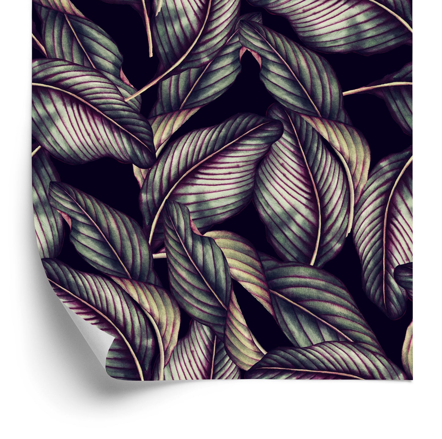 Wallpaper Beautiful