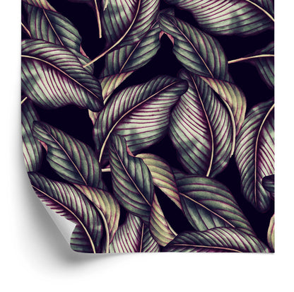 Wallpaper Beautiful