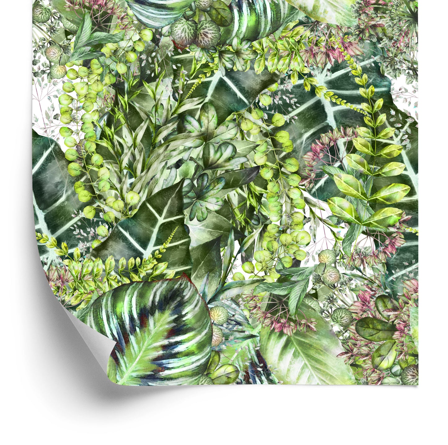 Wallpaper Tropical Nature Plants