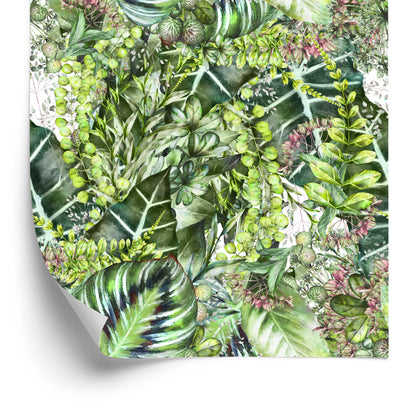 Wallpaper Tropical Nature Plants