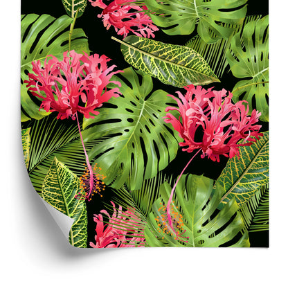 Wallpaper Tropical Flowers In Leaves