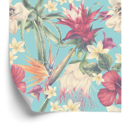 Wallpaper Tropical Plants In Pastels
