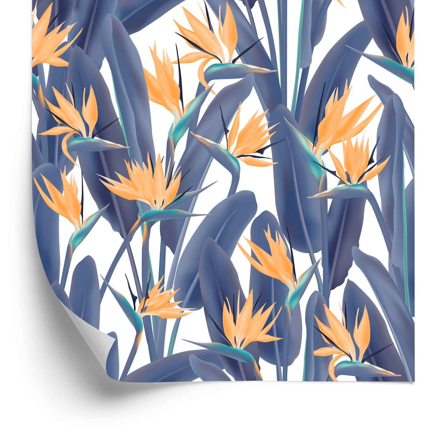 Wallpaper Birds Of Paradise Flowers