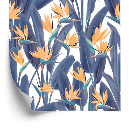 Wallpaper Birds Of Paradise Flowers