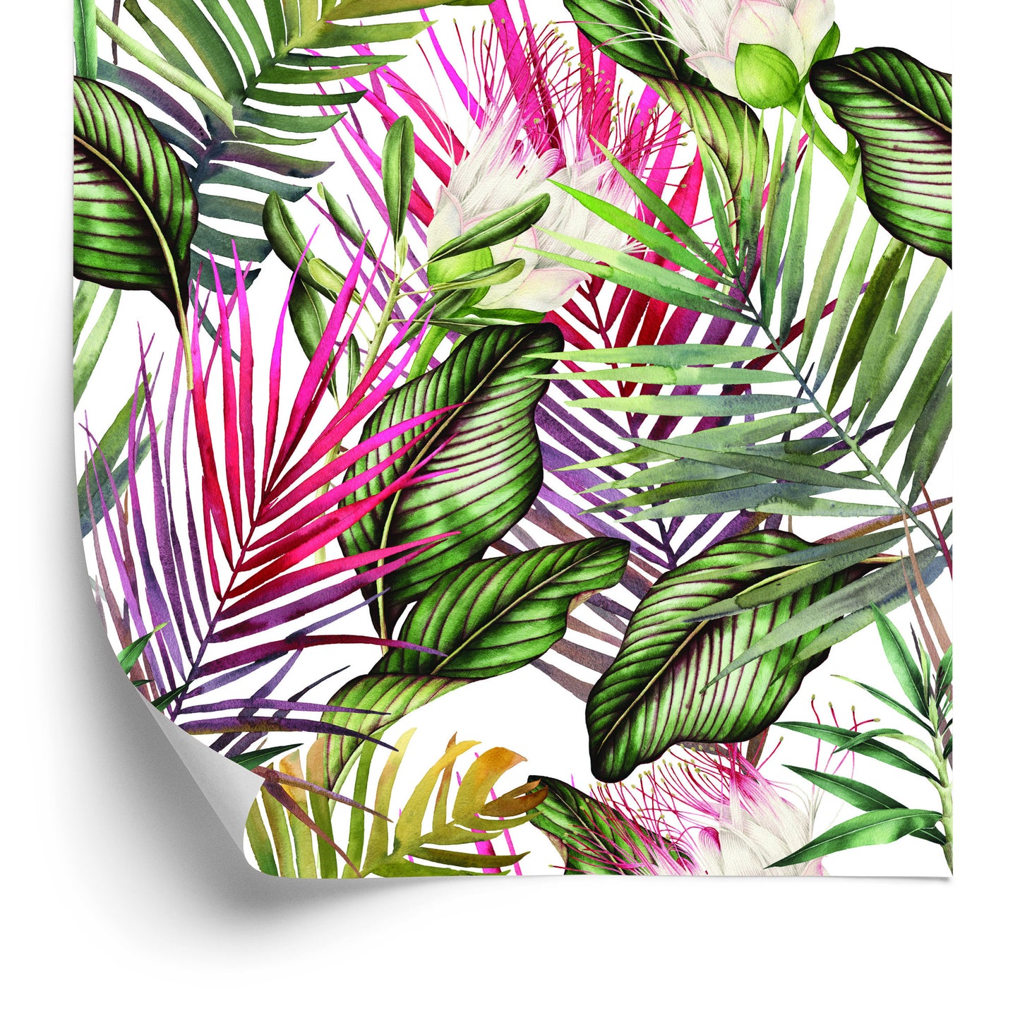 Wallpaper Colorful Leaves