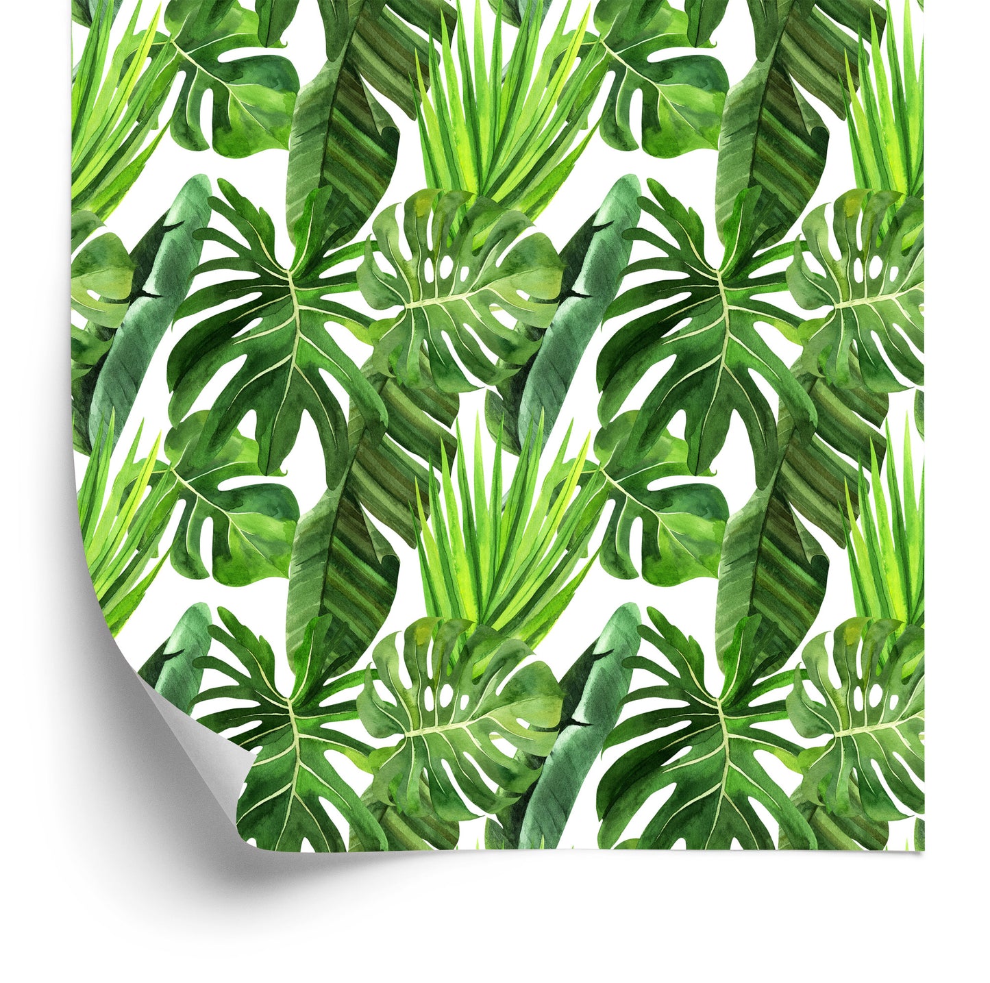 Wallpaper Green Palm Leaves