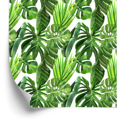 Wallpaper Green Palm Leaves