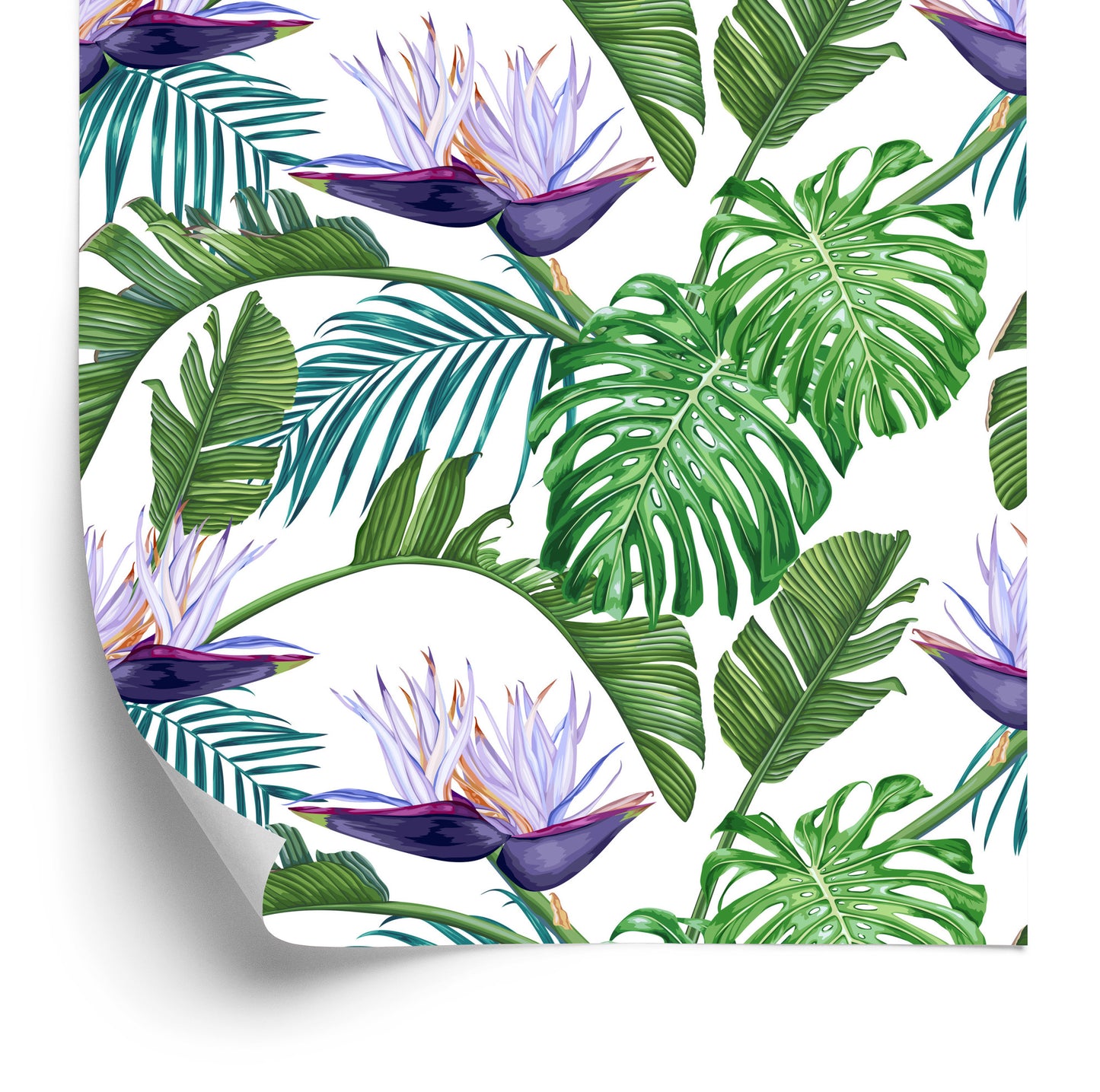 Wallpaper Violet Flowers With Leaves