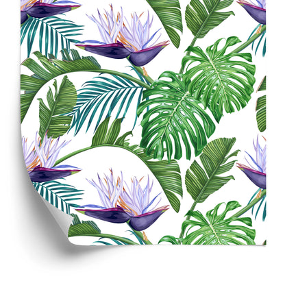 Wallpaper Violet Flowers With Leaves