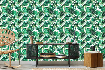 Wallpaper Leaves Of The Palm And Monstera