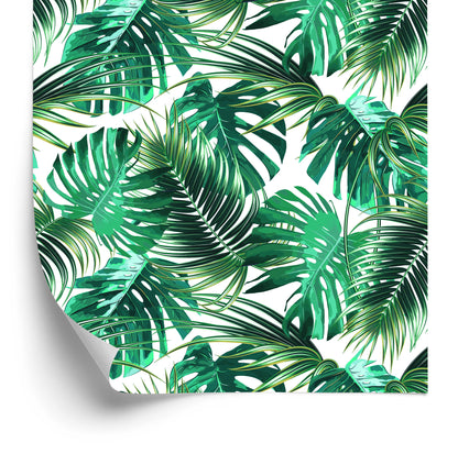 Wallpaper Leaves Of The Palm And Monstera