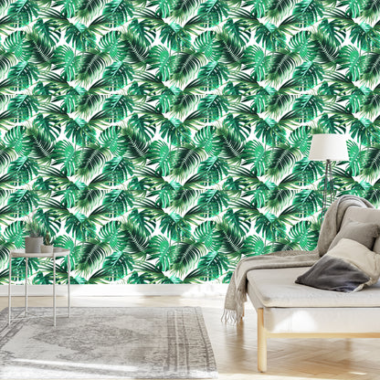 Wallpaper Leaves Of The Palm And Monstera