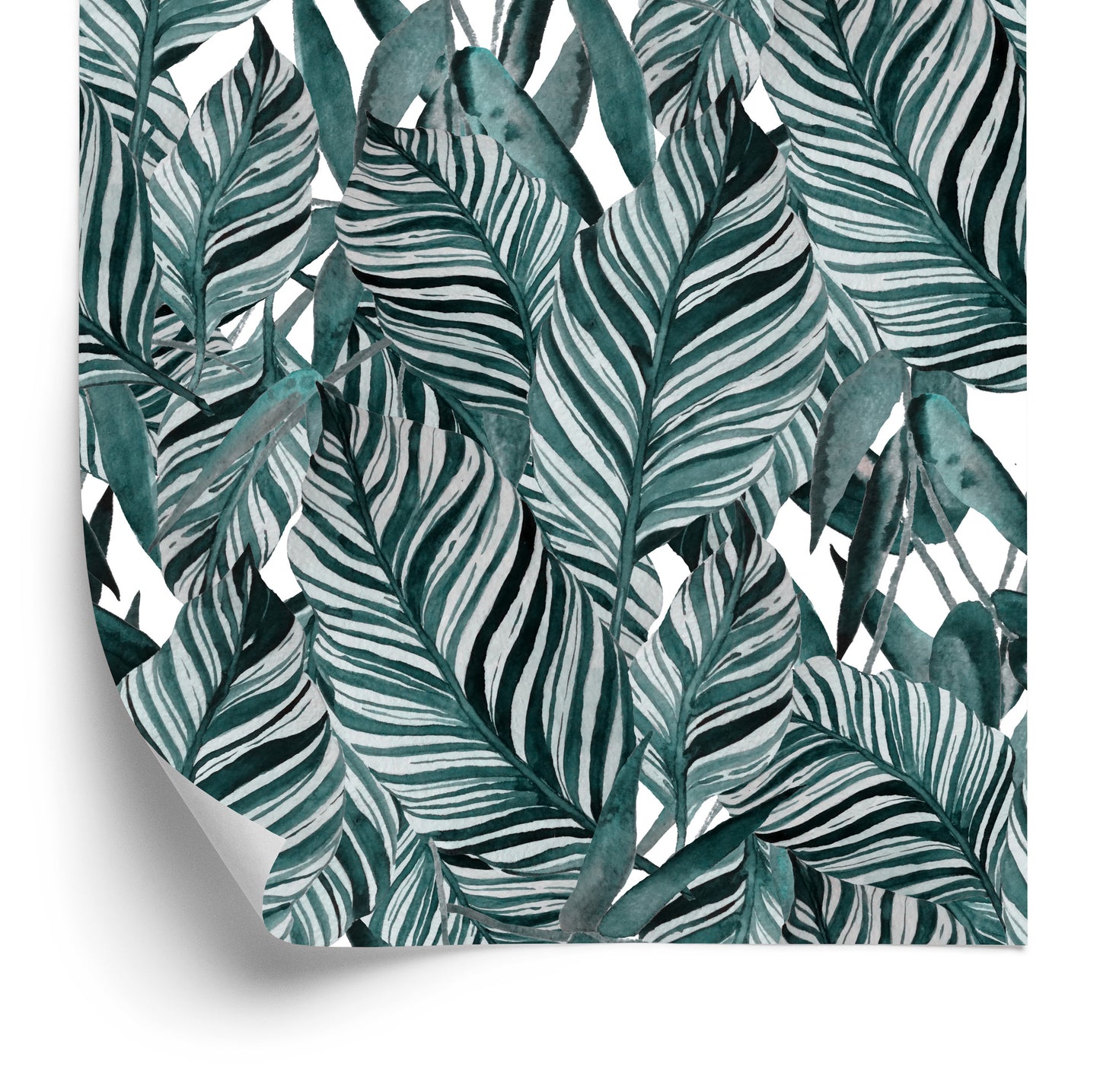 Wallpaper Exotic Leaves