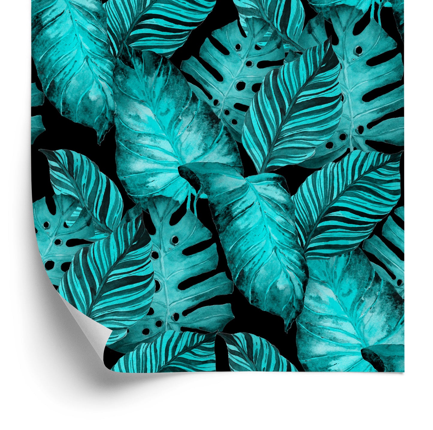 Wallpaper Leaves Of Passion Fruit And Monstera