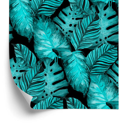 Wallpaper Leaves Of Passion Fruit And Monstera