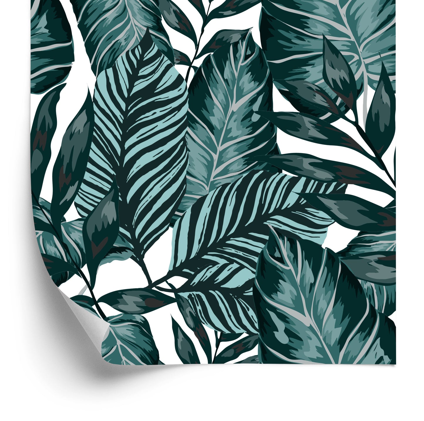 Wallpaper Leaves Of Passion Fruit And Monstera