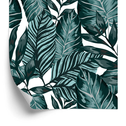 Wallpaper Leaves Of Passion Fruit And Monstera