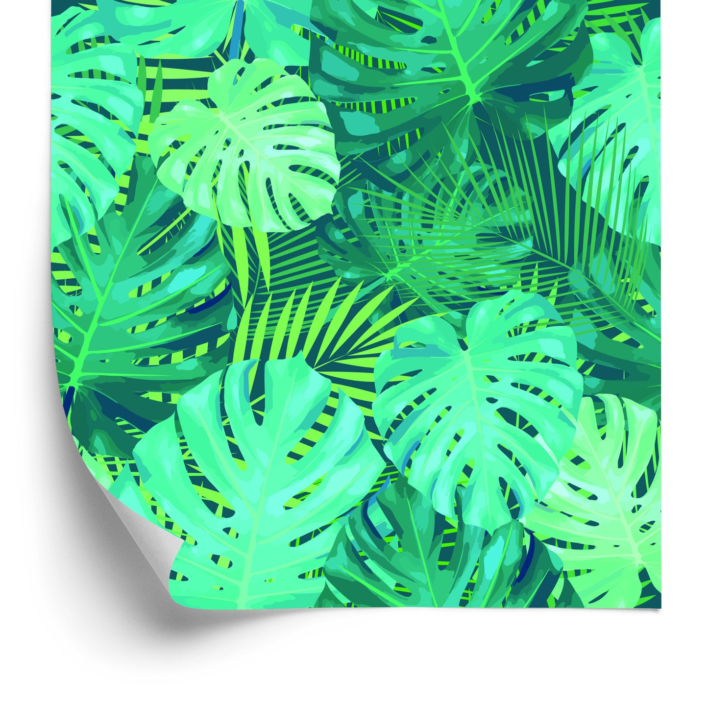 Wallpaper Exotic Monstera Leaves
