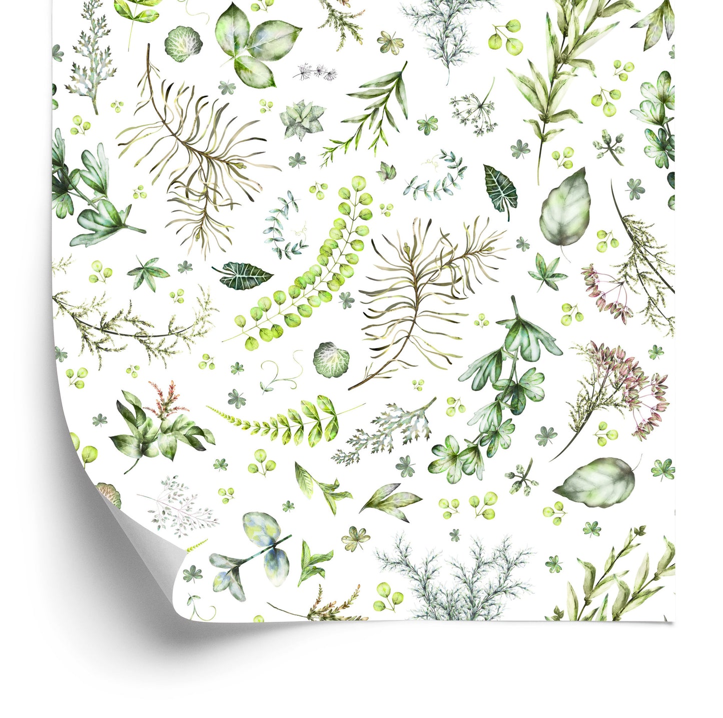 Wallpaper Leaves Of Different Kinds