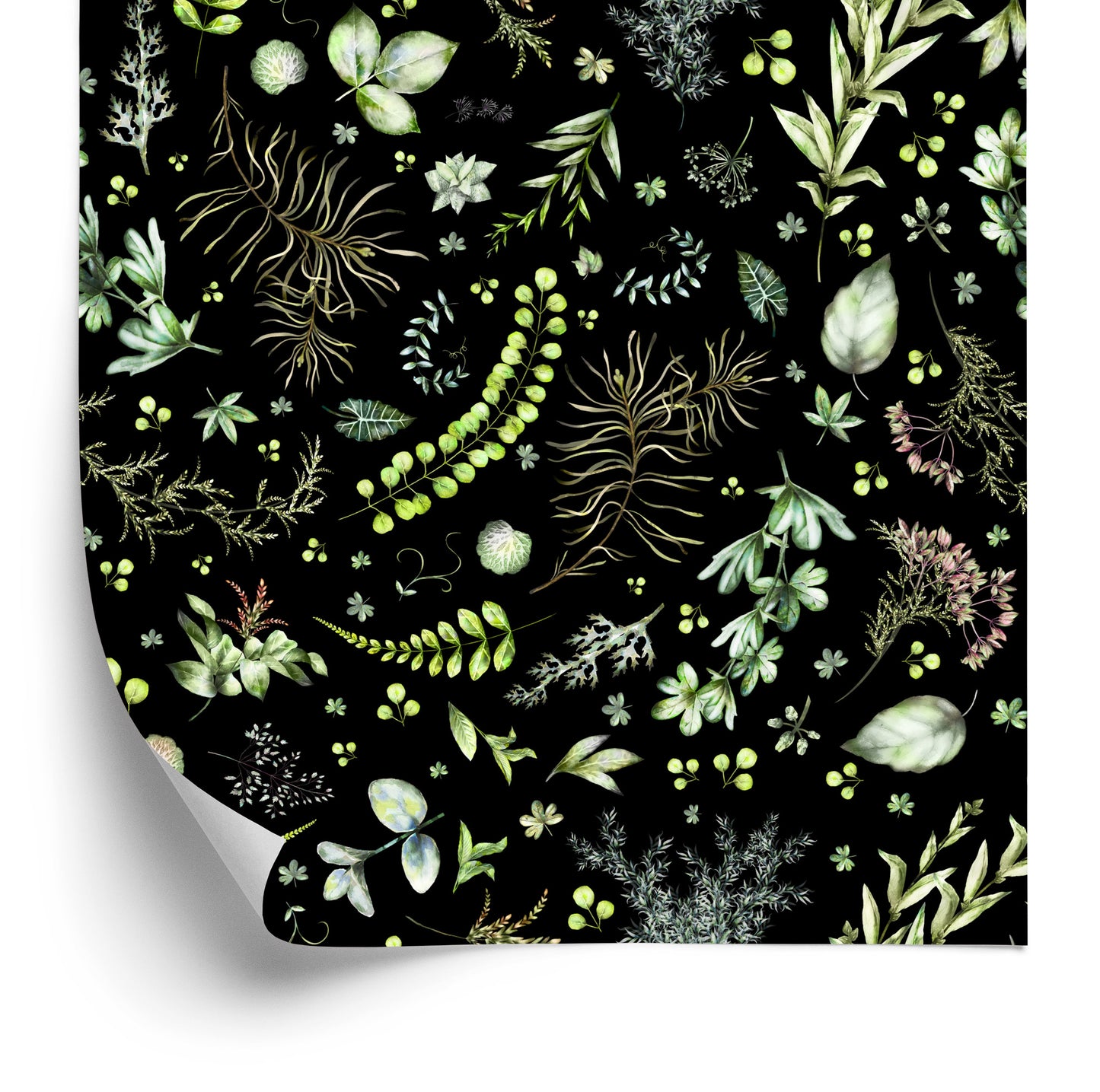 Wallpaper Forest Leaves With Herbs