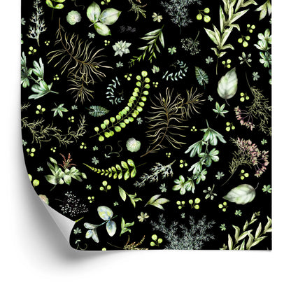 Wallpaper Forest Leaves With Herbs