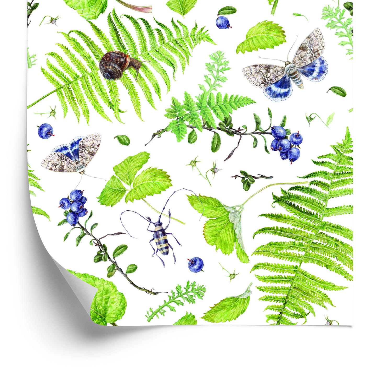 Wallpaper Fern With Butterflies