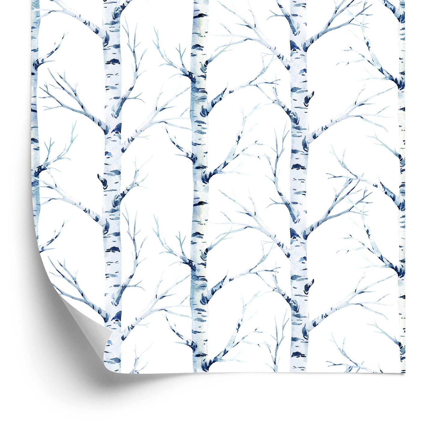 Wallpaper Beautiful Birches