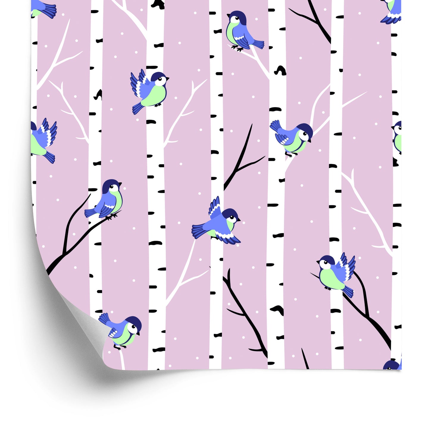 Wallpaper Colorful Birds Among Birches