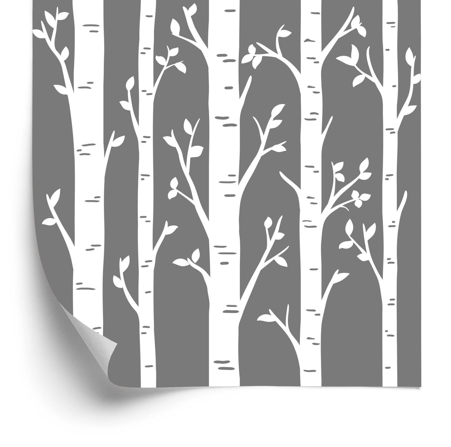 Wallpaper Birches