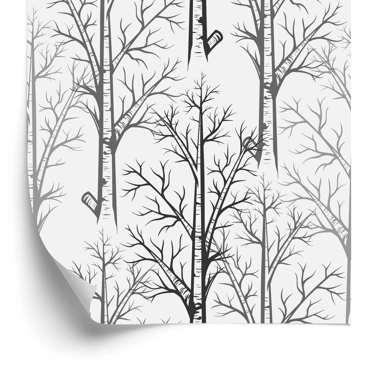 Wallpaper Delicate Trees In Shades Of Gray