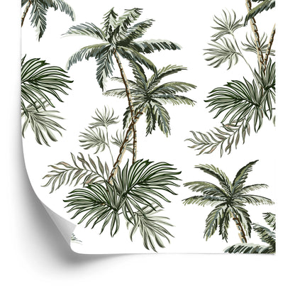 Wallpaper Palm Tree Plants Youth Room