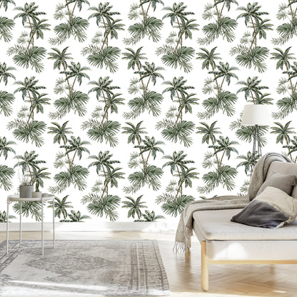 Wallpaper Palm Tree Plants Youth Room