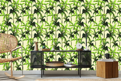 Wallpaper Green. Palm. Leaves. Nature. Nature
